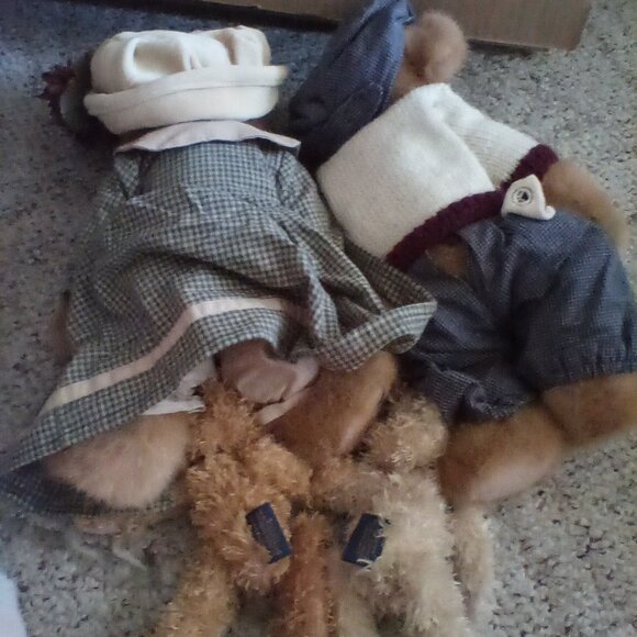 Boyd's bear - Picture 2 of 2